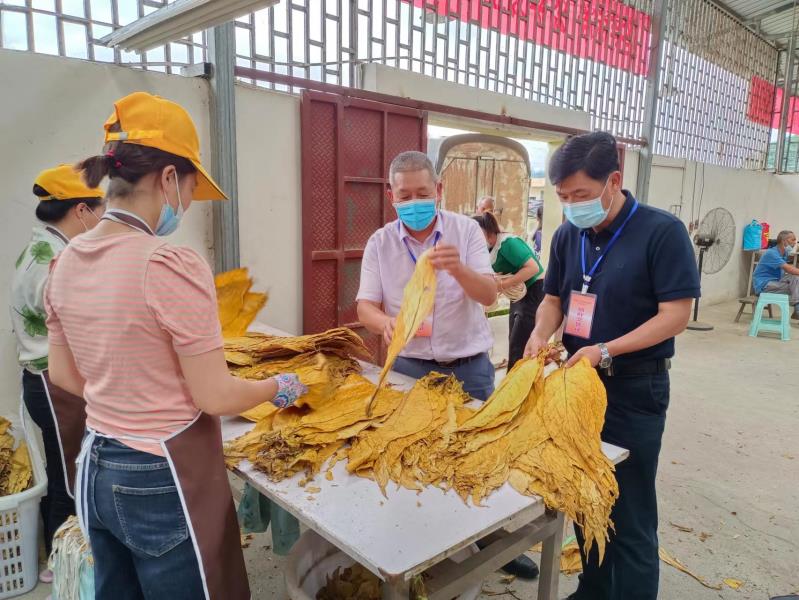 d78cd89ee906701cf77b6b785225d26