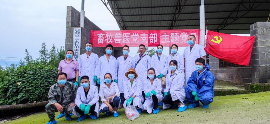 a7ad01fc629de734025ac9ced04311e