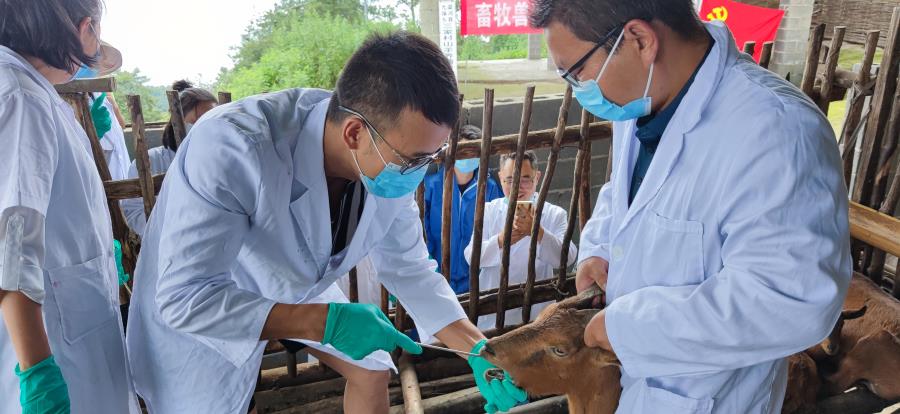 645d25a2cd9b991d197a1a3eb39eadf