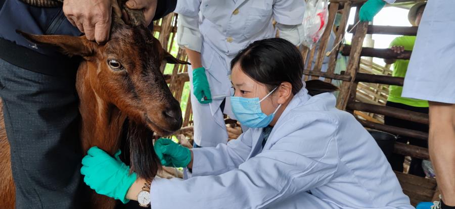 acda2954ddff6db48b6194c1a6b3655