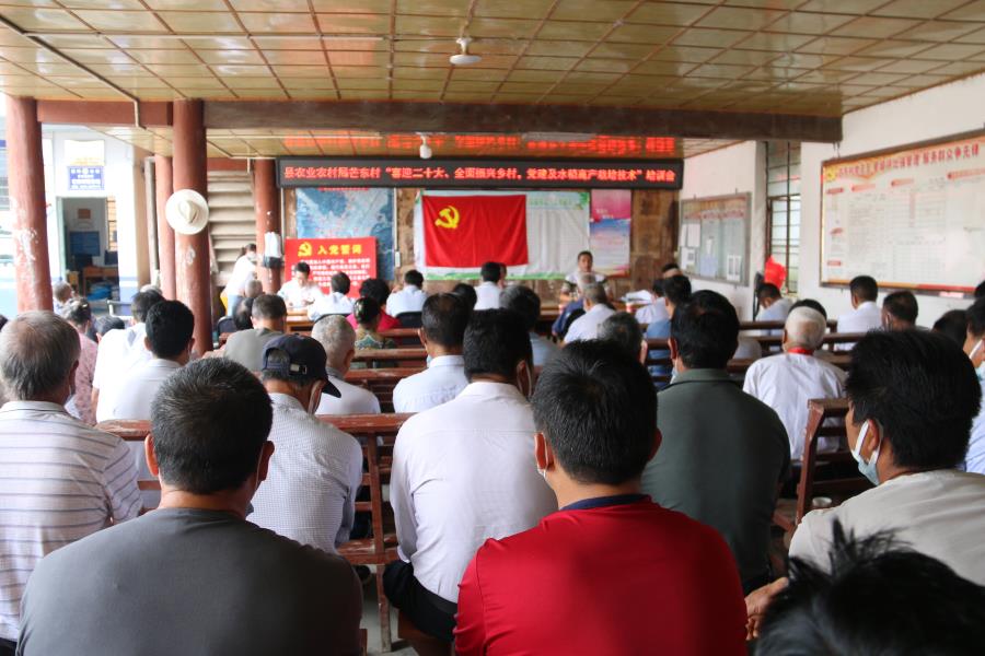 水稻高产技术培训 (4)