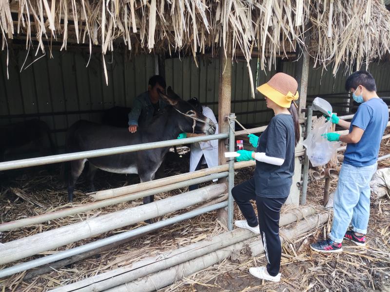 2bb8a99eecb9b6e35552e7de4ec6338