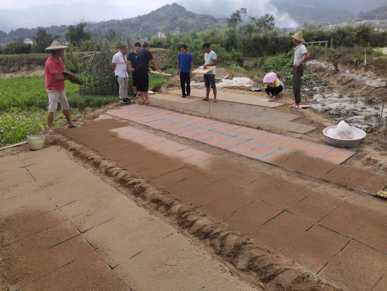 a568a18f0ab8fb5404b650efa02816b