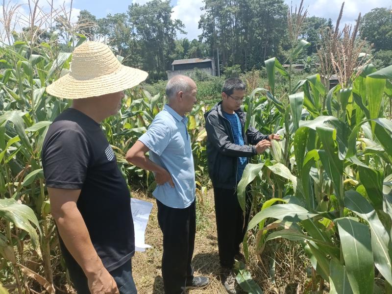 fa07c2d48cc1441fbfb40ce62b9a053