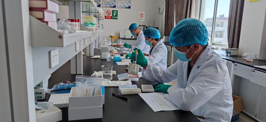 9a36b6a3bdda45e2c72f8892b772223