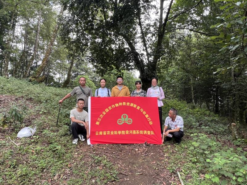 微信图片_202208192204241