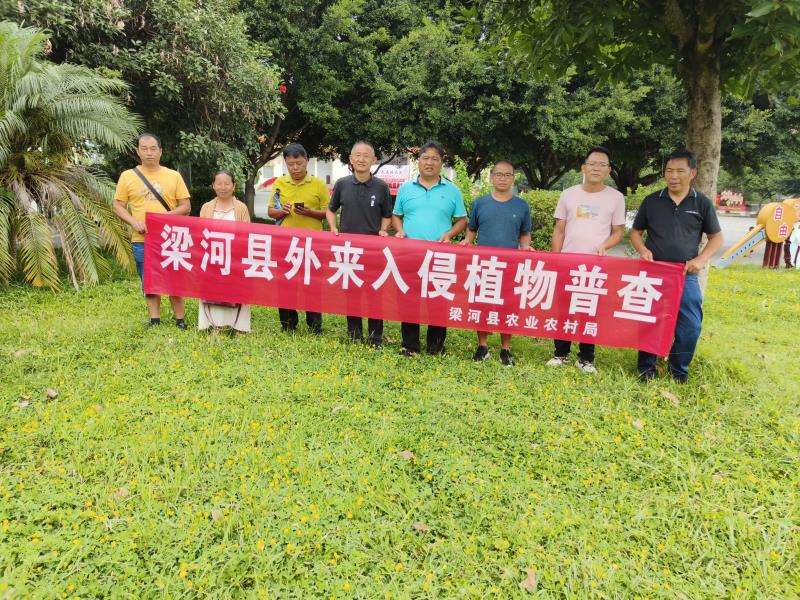 州调查组指导工作