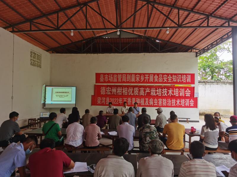 202209.16曩宋乡大水平百香果种植及病虫害防治培训 (1)