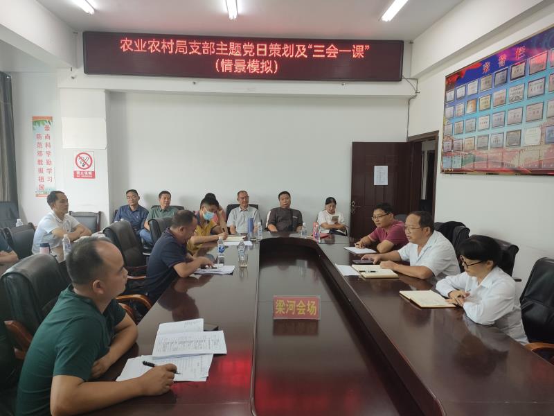 主题党日模拟 (1)