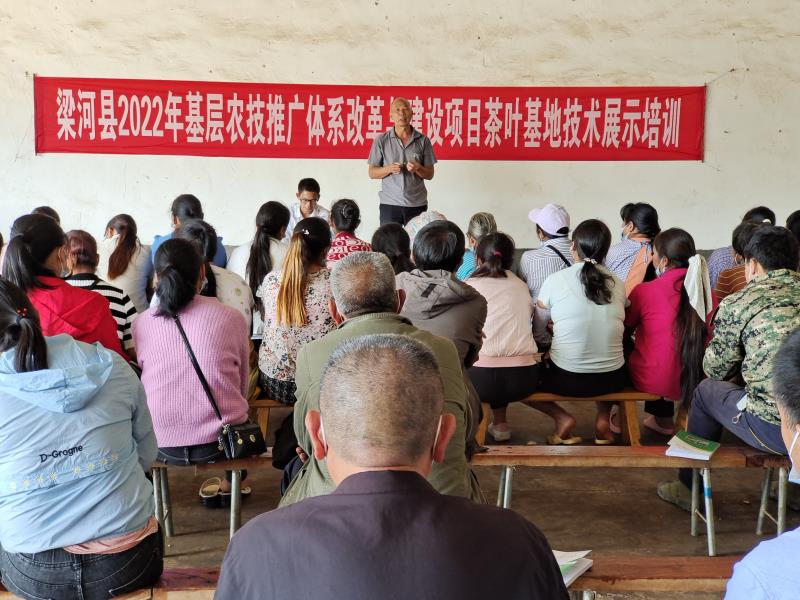 9f54dc9a7c5d37923931a43bf8724bc