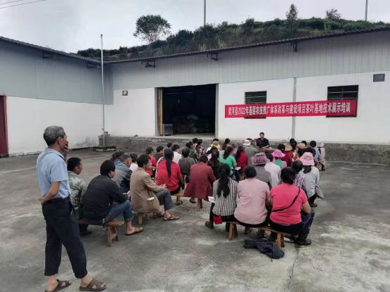 4cb53d75d9248eb2eb56ebf76648964