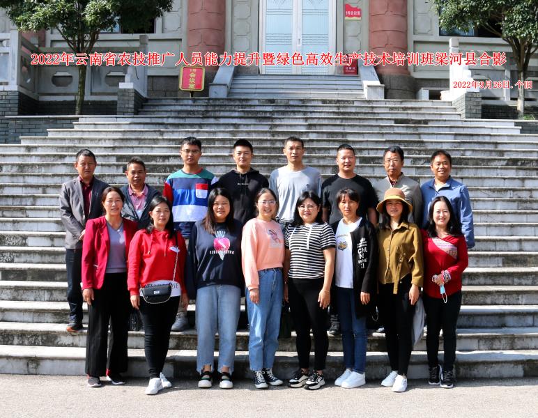 504ffa01caebb236c2d767af26af918