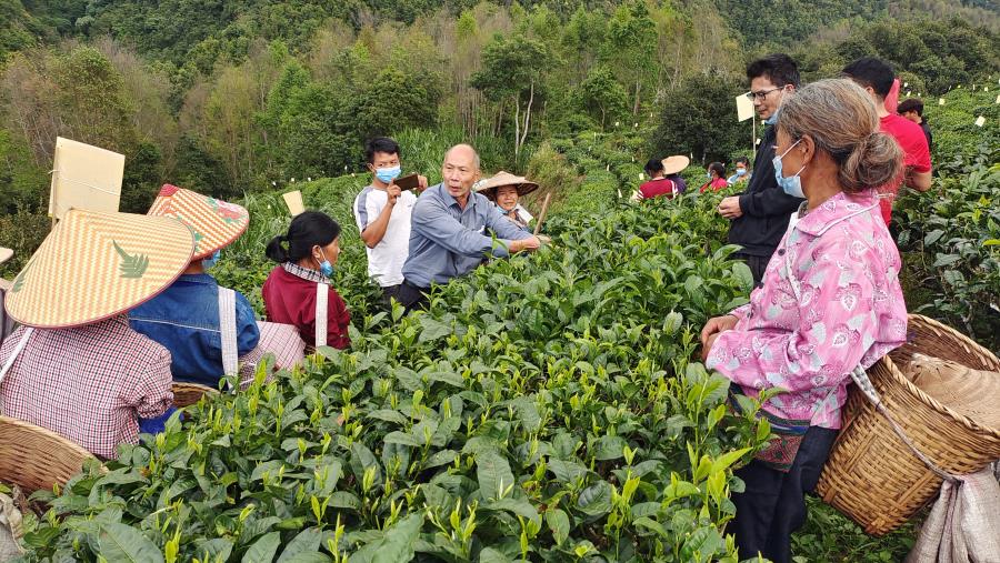 d86e9b5dba2eaff1aa9a15c032c0d1d