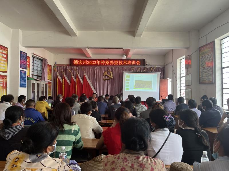 12f2968dbda4f4b6aff5e4cf0dfda7b