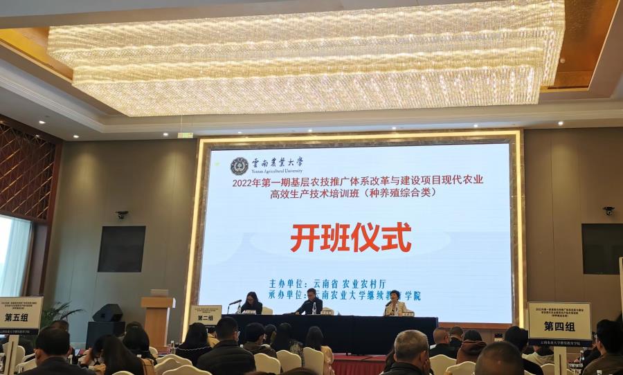 a61450a898598d84a98f56316721e92