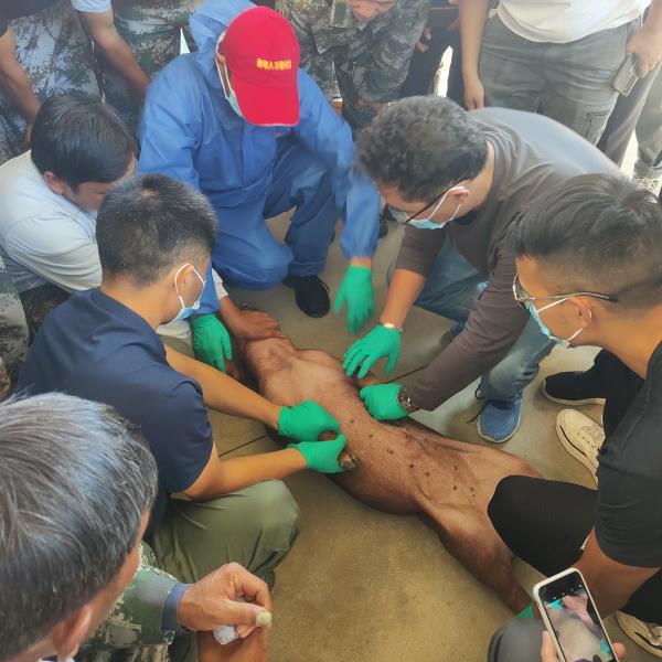 64ca01681dd67692f1de9e78c9b51b2