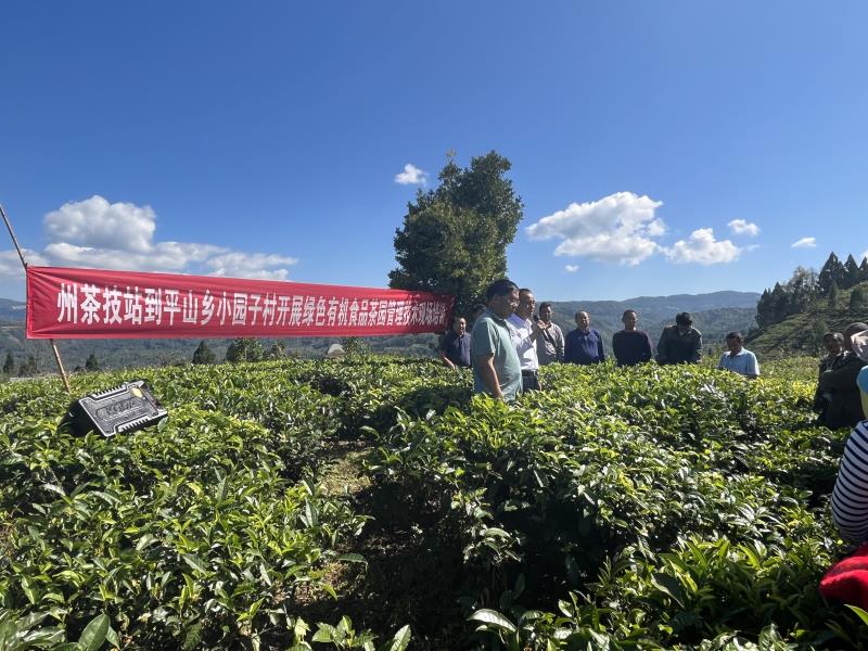 187fa83b51c987a4cbb12f28ec279b1