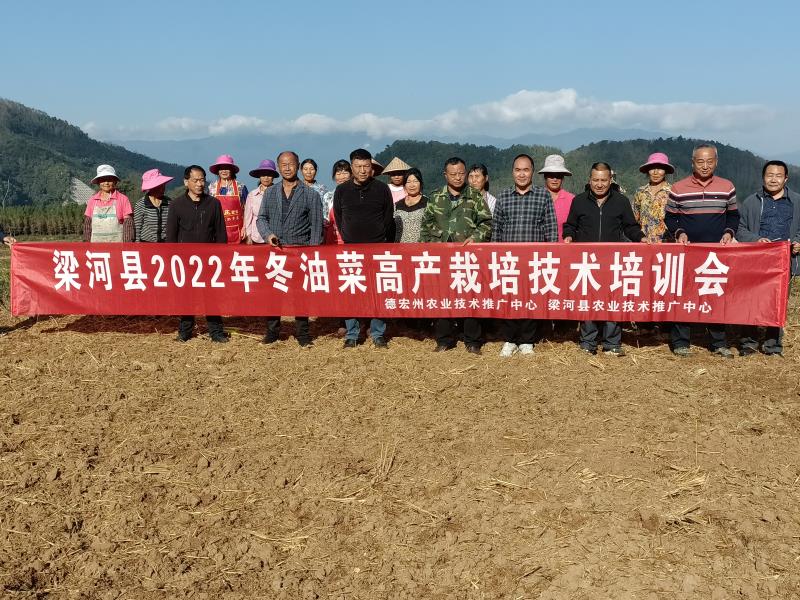 微信图片_20221116172220