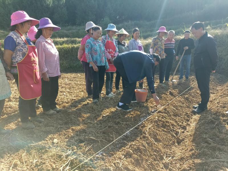 微信图片_20221116172245