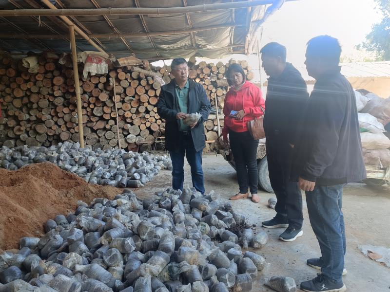 微信图片_20221116172152