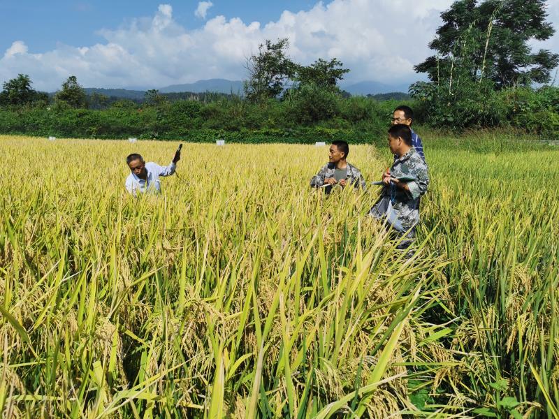 微信图片_202211281035541