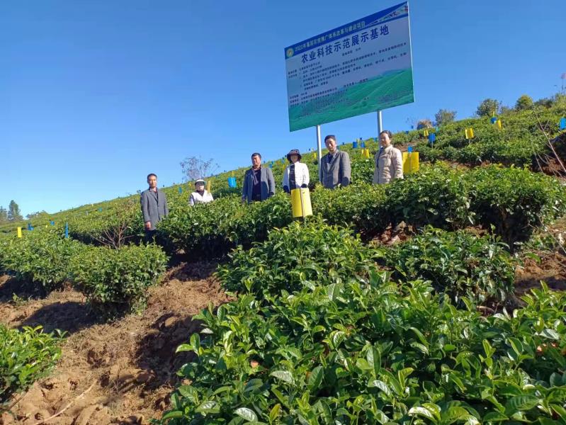 e343b954e83bbca959ff7dad3c4edb4