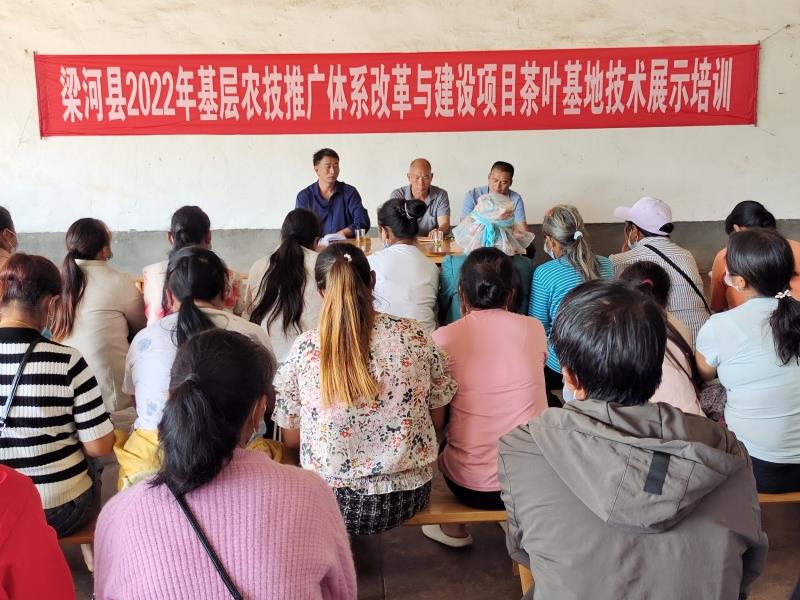 98e8dddb0a5ca2ad288f406ae108c74