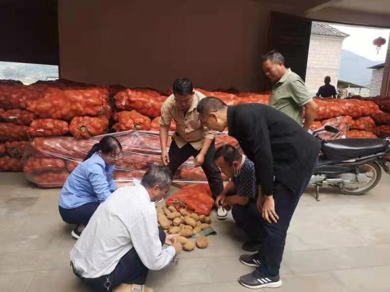 微信图片_20230113110520