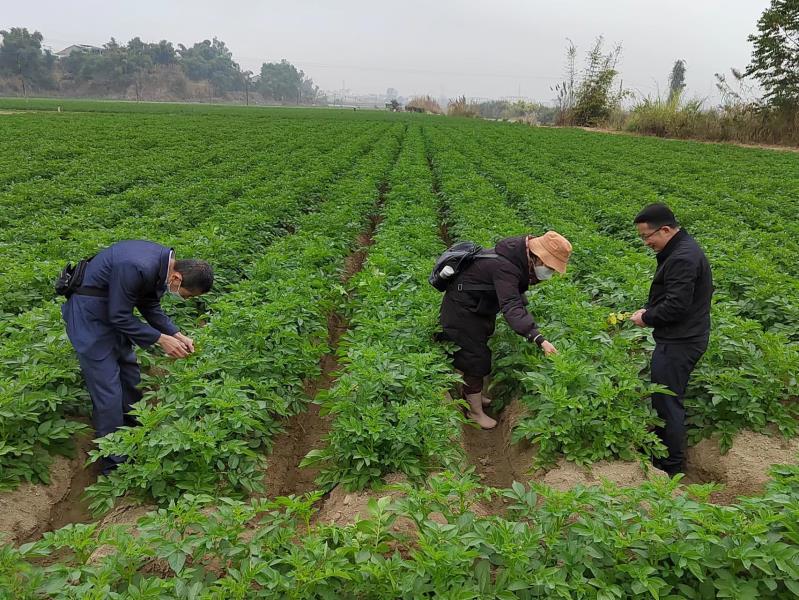 微信图片_20230116165706