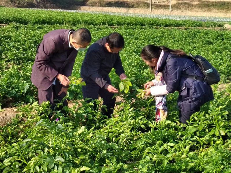 微信图片_20230130161219