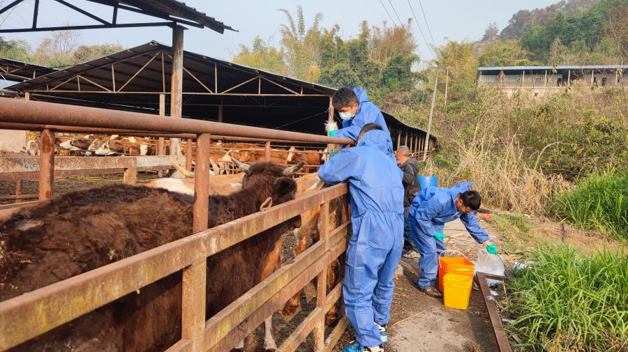 微信图片_20230309172330