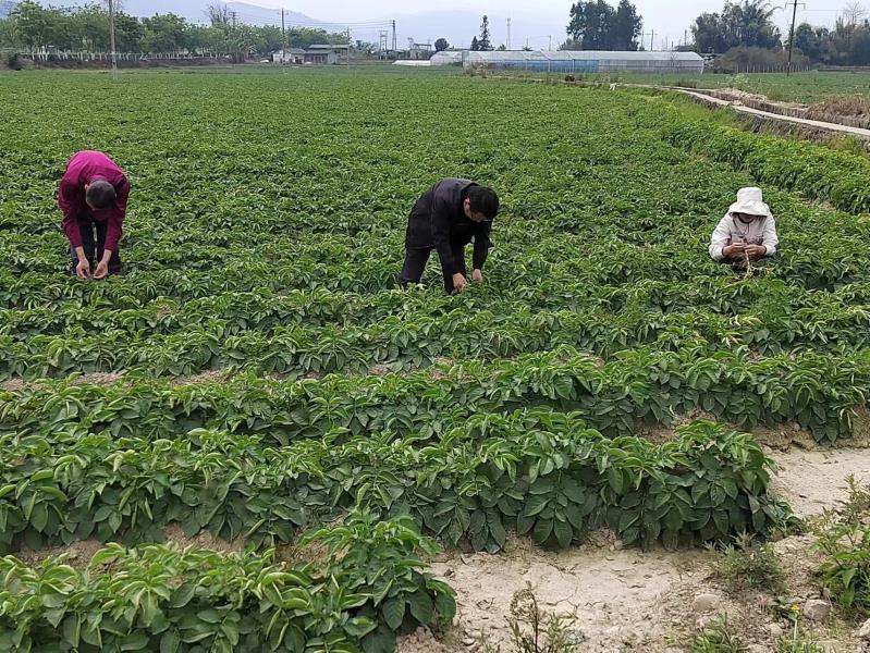 微信图片_20230310153943