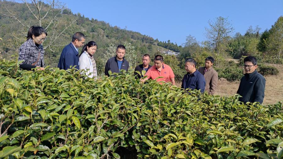 微信图片_20230323093118