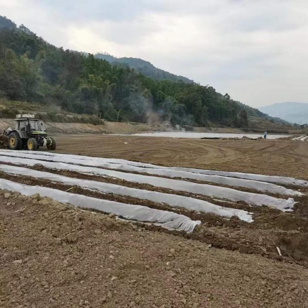 微信图片_20230329085358