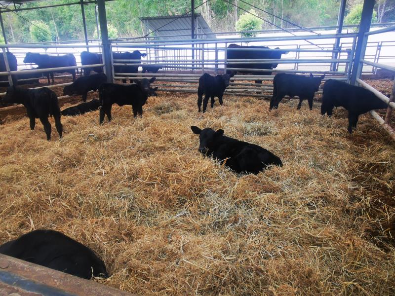 微信图片_20230406163143