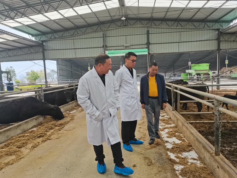 微信图片_20230406163139