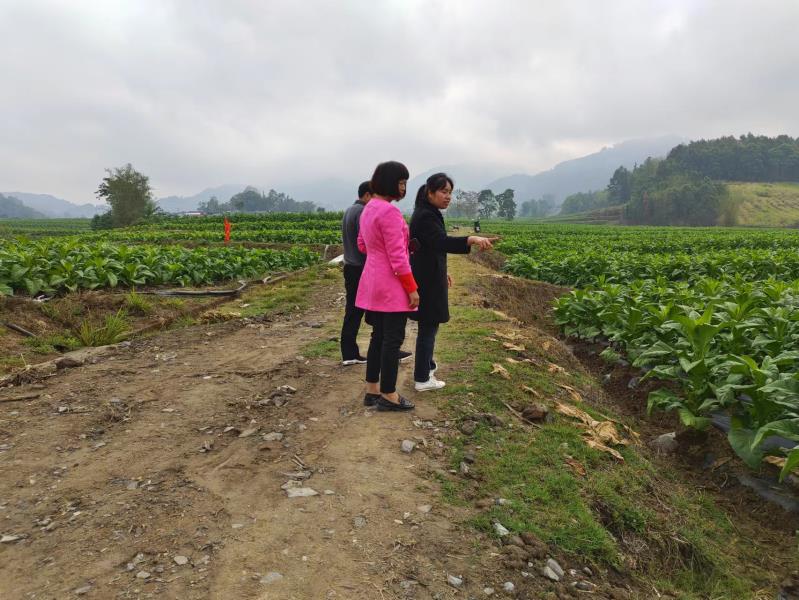 863e50113edcd0a4e040ea5c20e08dc