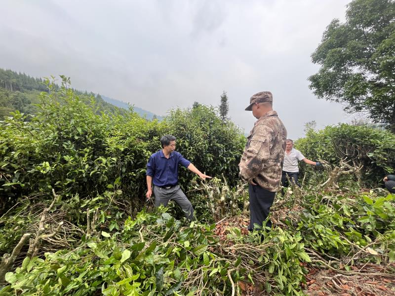 63ca6c91b3e9fe701c1d292e6f7d90e