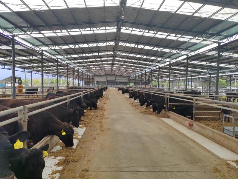 微信图片_20230516164928