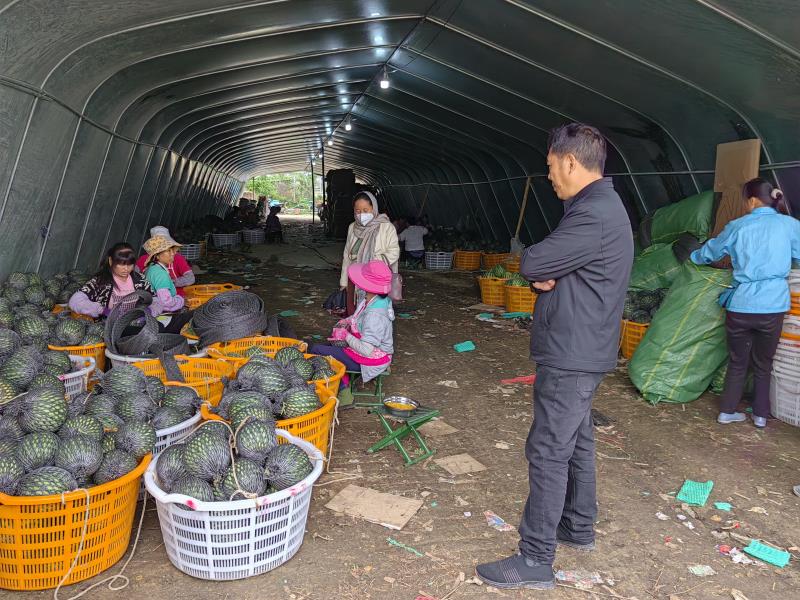 微信图片_20230524155457