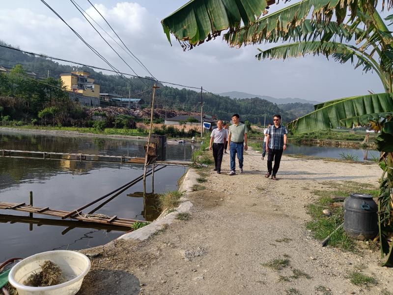 53f8d43154432d0ff90aded8281236c