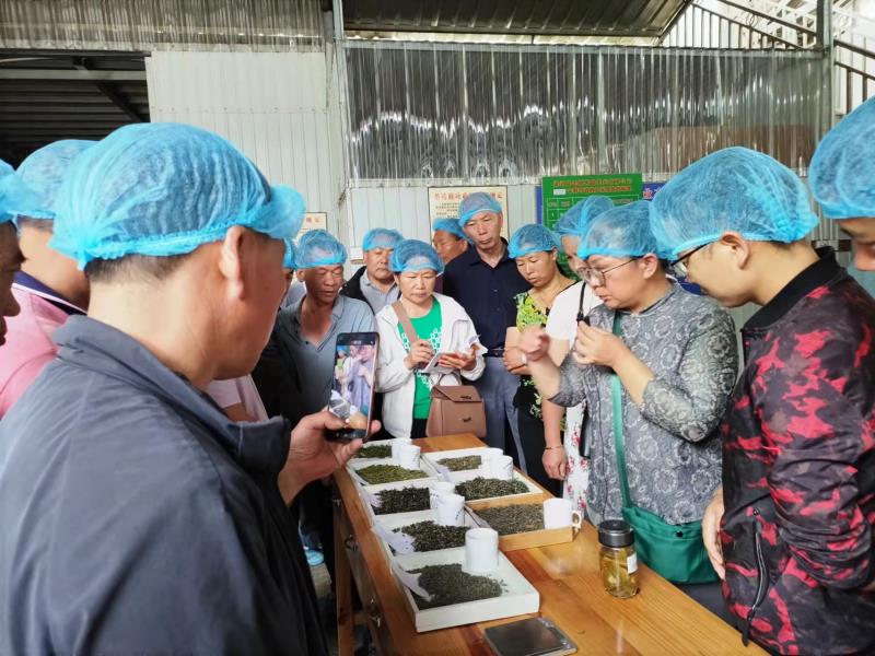 3f17646fbc9d10584a4c62c81579ebe