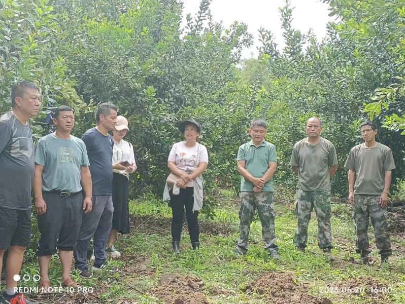 微信图片_20230628162124