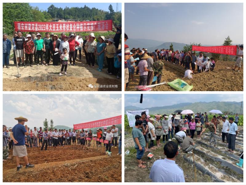 a20fee6b8c4ddd5b3f889e669217114