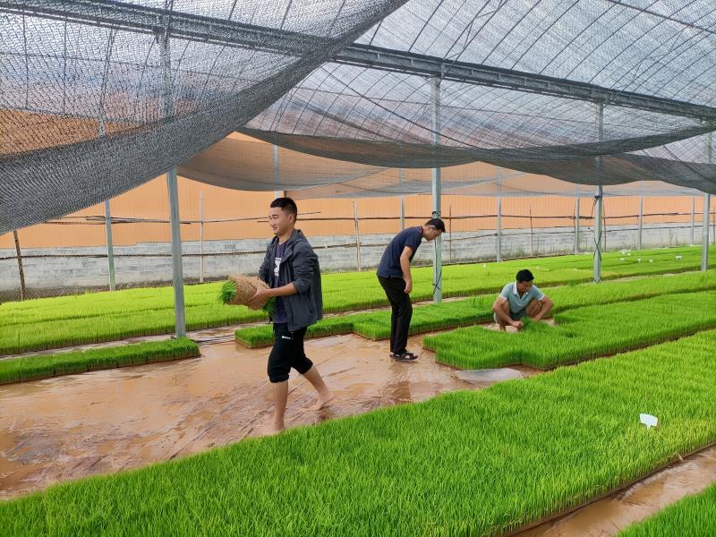 2714bbf63eb71c11e95f27cf57274c5