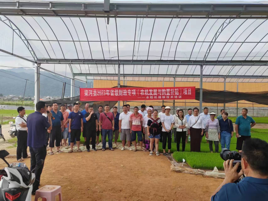 803f60c254f50e29ac607ef491d998a