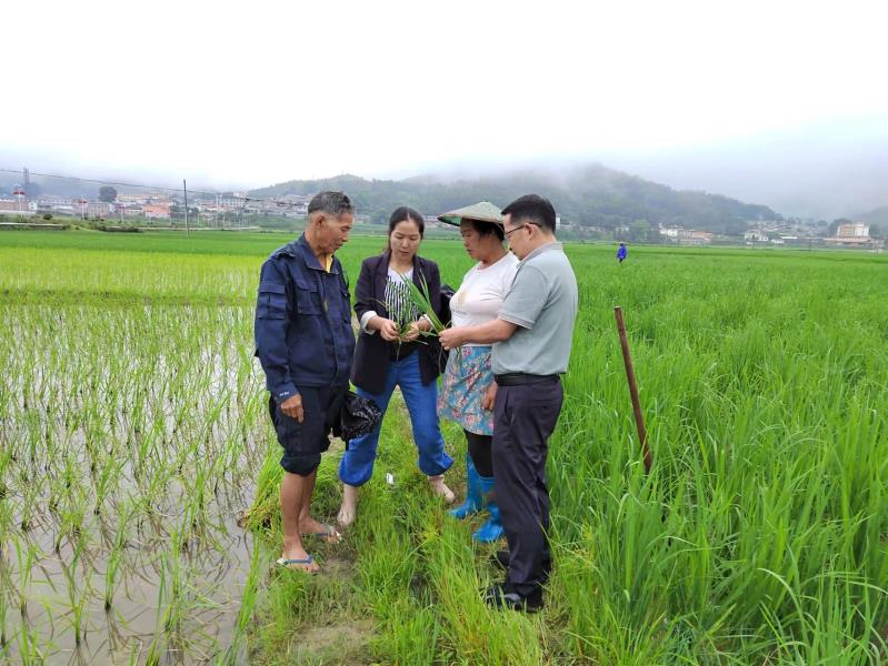 微信图片_20230714145212