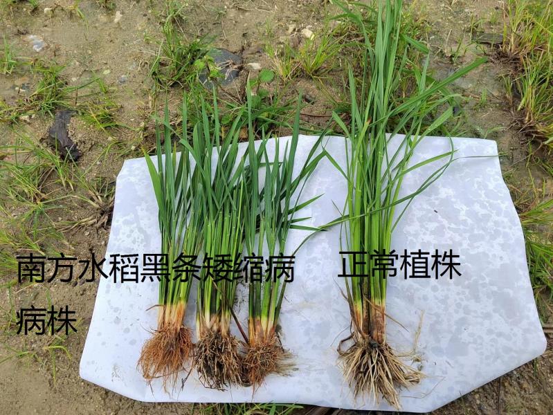 微信图片_20230714145225