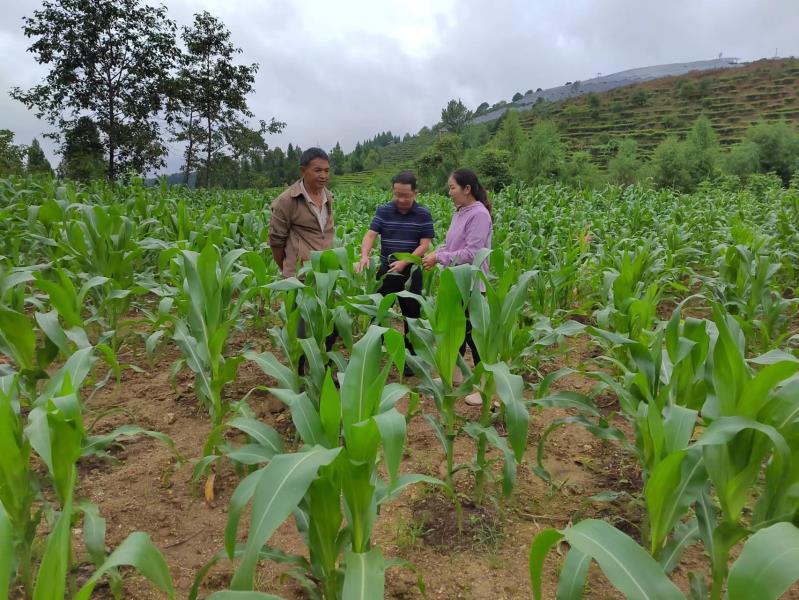 微信图片_20230721105655