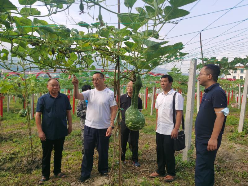 5e56e741020d7dfebc058a22e291738